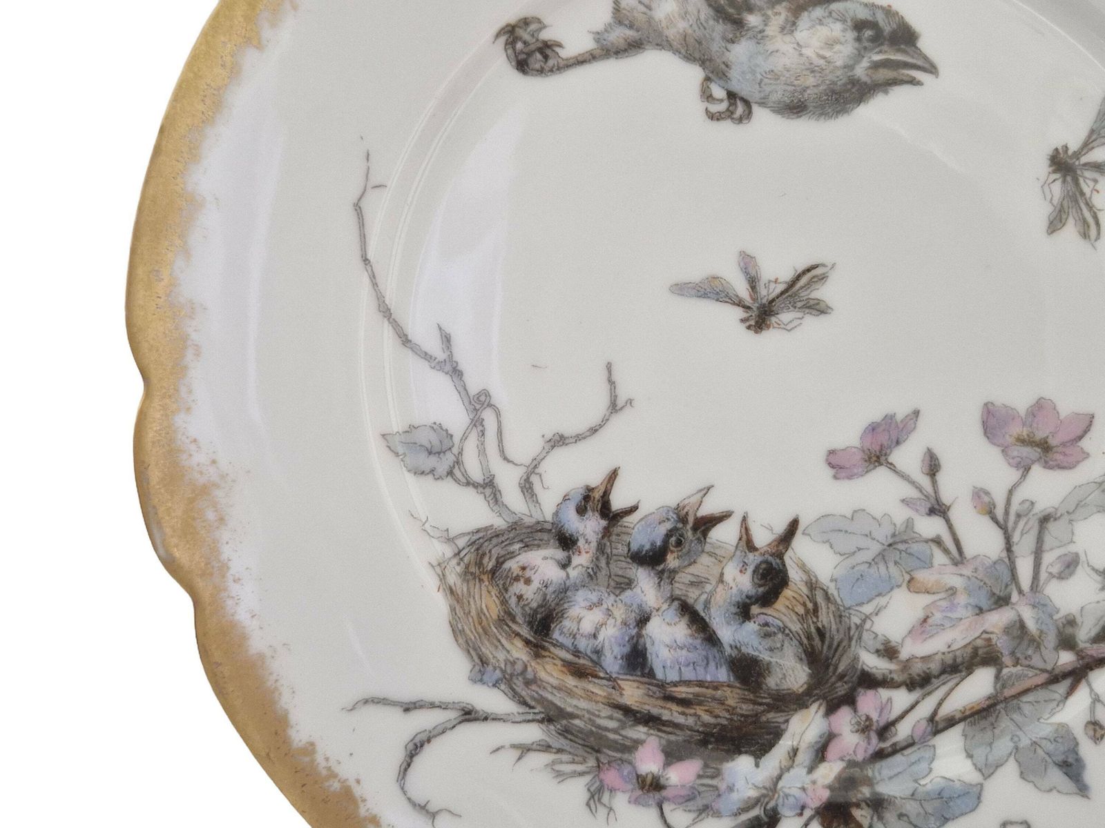 Limoges Porcelain Wall Plate With Hand Painted Birds And Insects By Adolphe Hache & Cie, French Cabinet Plate photo 155.0