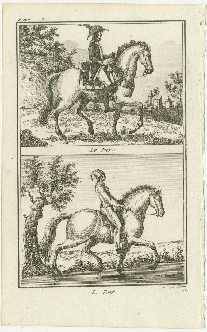 Set Of 6 Antique Horse Riding Prints, Capriole, Croupade, Le Trot, Courbette photo furniture