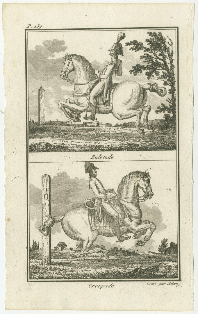 Set Of 6 Antique Horse Riding Prints, Capriole, Croupade, Le Trot, Courbette photo vinterior