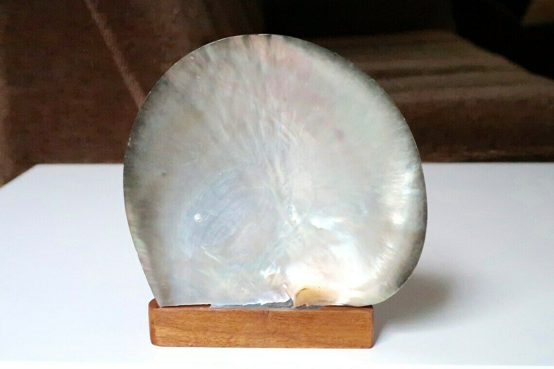 Polished Pearl Oyster, Wooden Base, Cabinet Of Curiosities, 1970s / Boho Jewelry Display Tray Bohemian Folk Nautical Mother Of Pearl