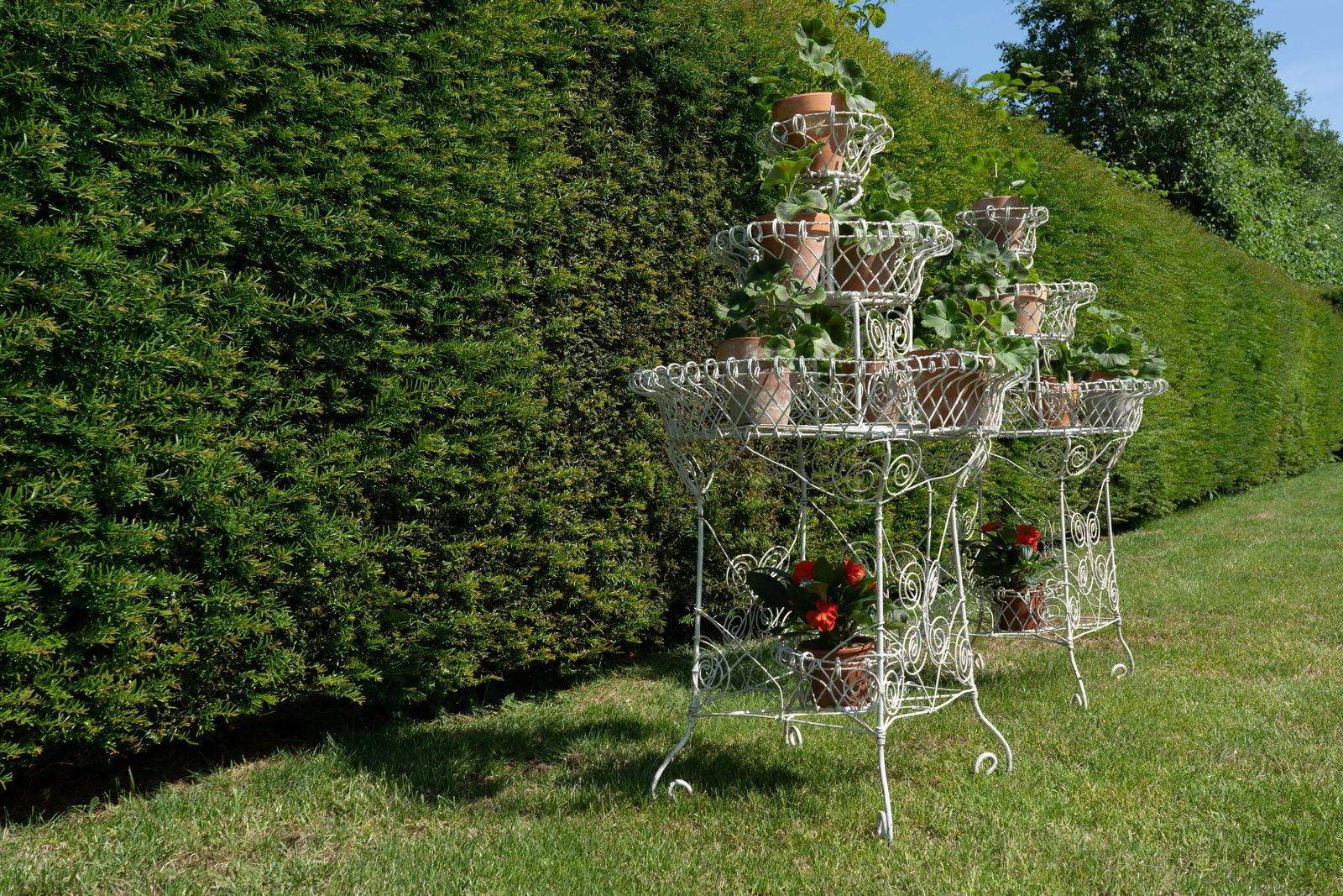 photo vinterior A Pair Of Victorian Wirework Garden Planters