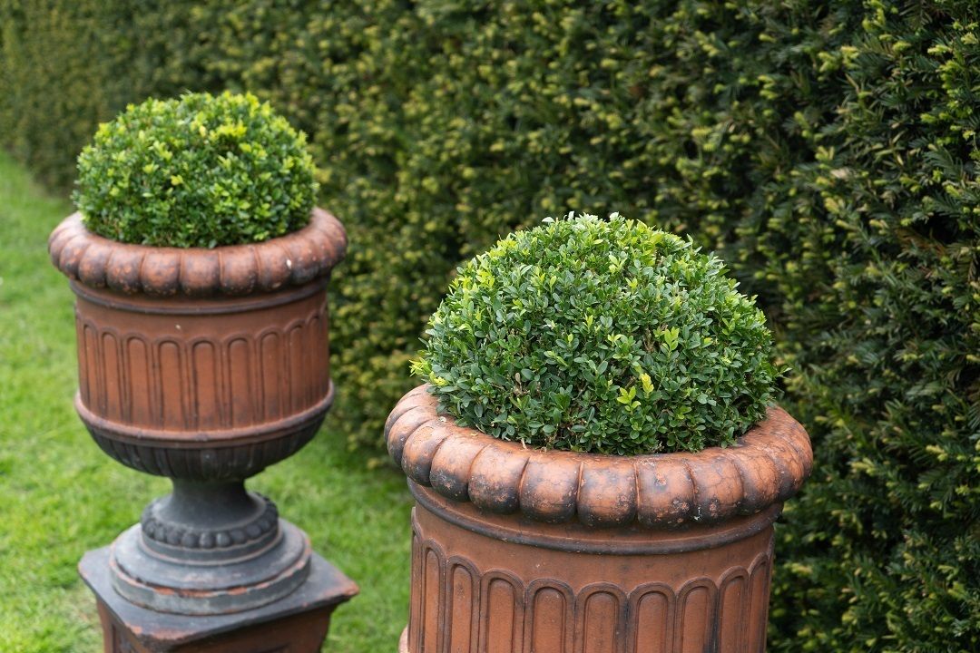 photo vinterior Pair Of Antique Terracotta Urns On Plinths
