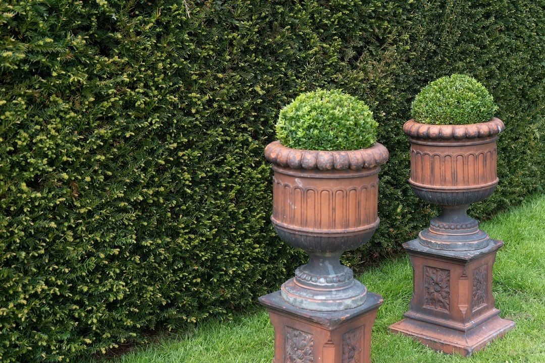 photo vintage Pair Of Antique Terracotta Urns On Plinths