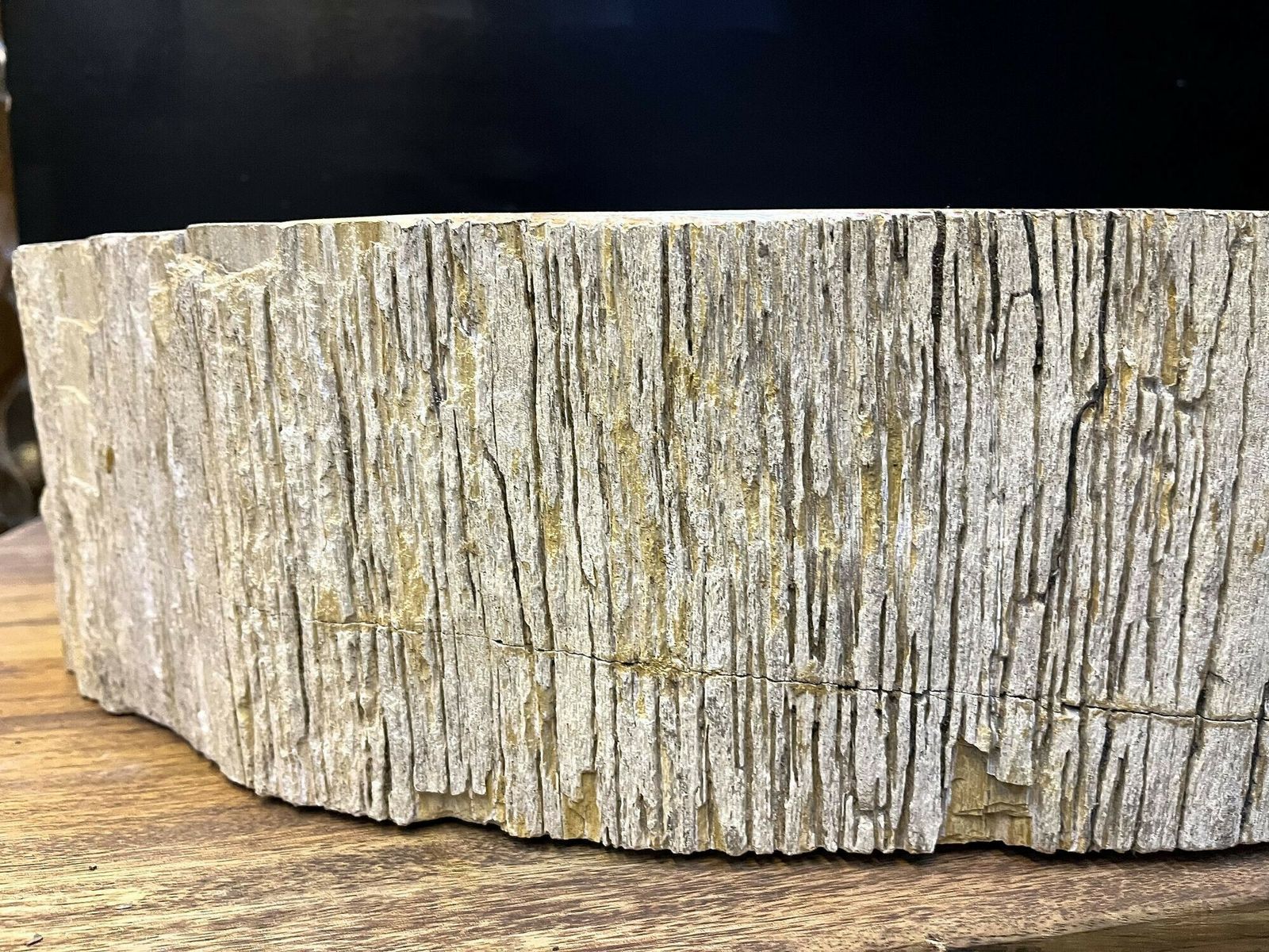Petrified Wood Sink Grey/ Beige Tones, Organic Modern   Top Quality, Idn 2023 photo furniture