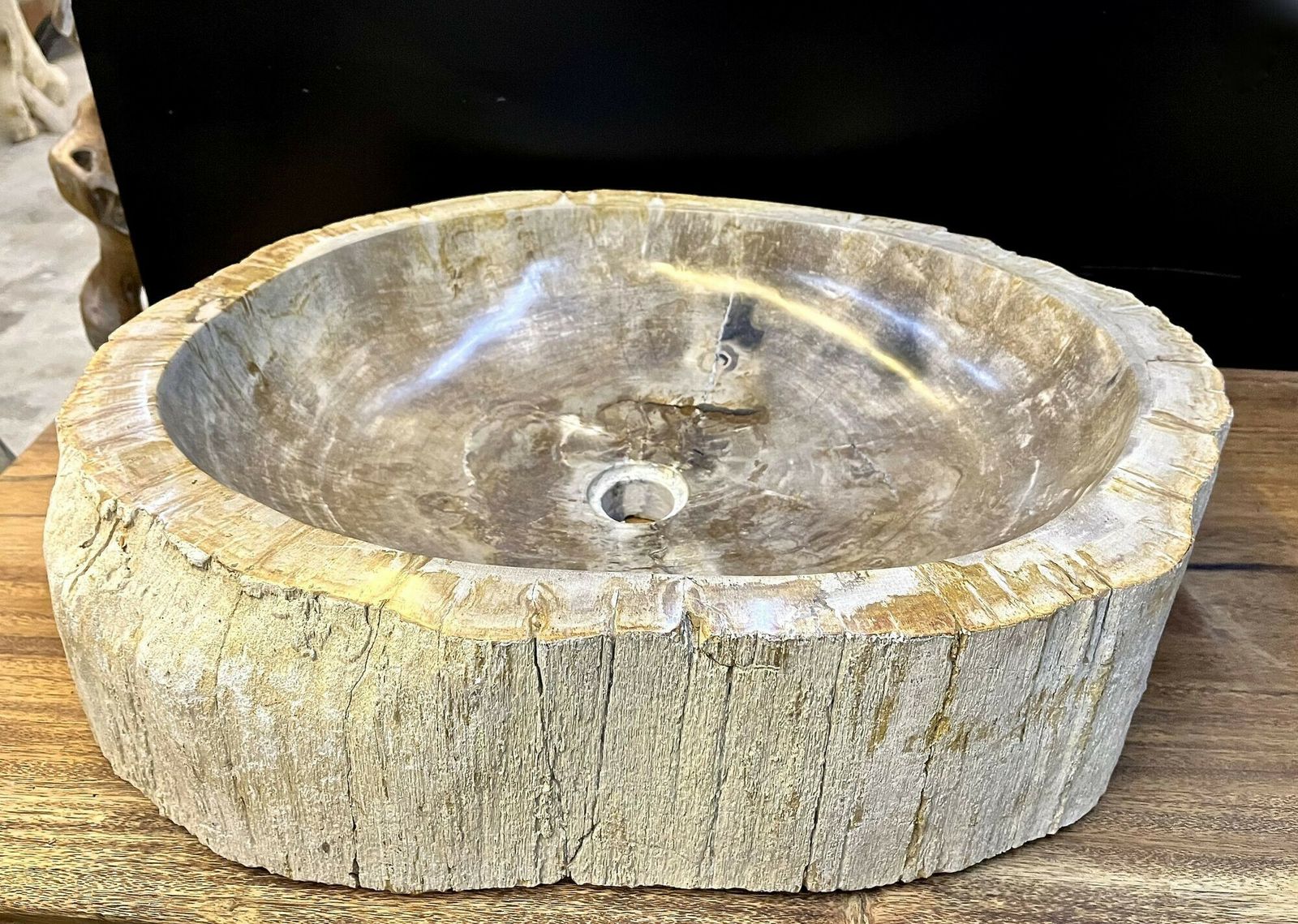 Petrified Wood Sink Grey/ Beige Tones, Organic Modern   Top Quality, Idn 2023 photo vinterior