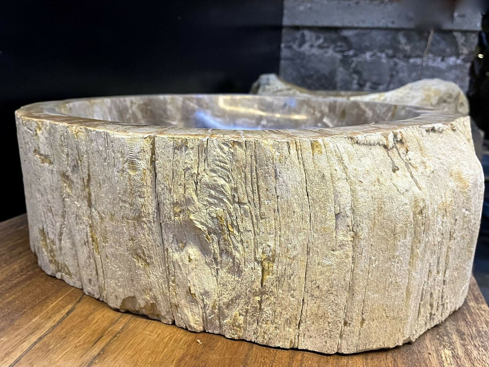 Petrified Wood Sink Grey/ Beige Tones, Organic Modern   Top Quality, Idn 2023 photo vintage