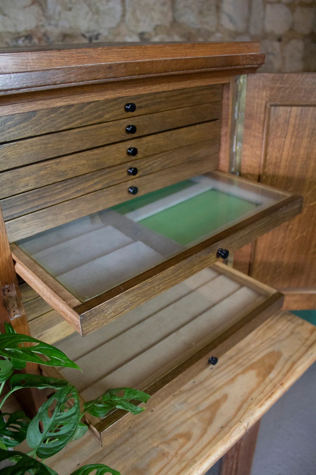 Early 20th Century European Oak Collectors Cabinet photo Furniture
