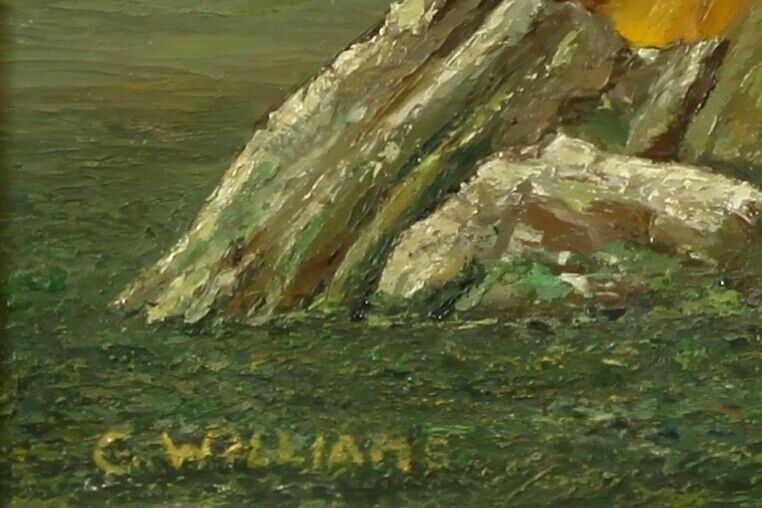 Oil On Board By Charles Williams. Titled "Rock And Seaweed" photo for sale