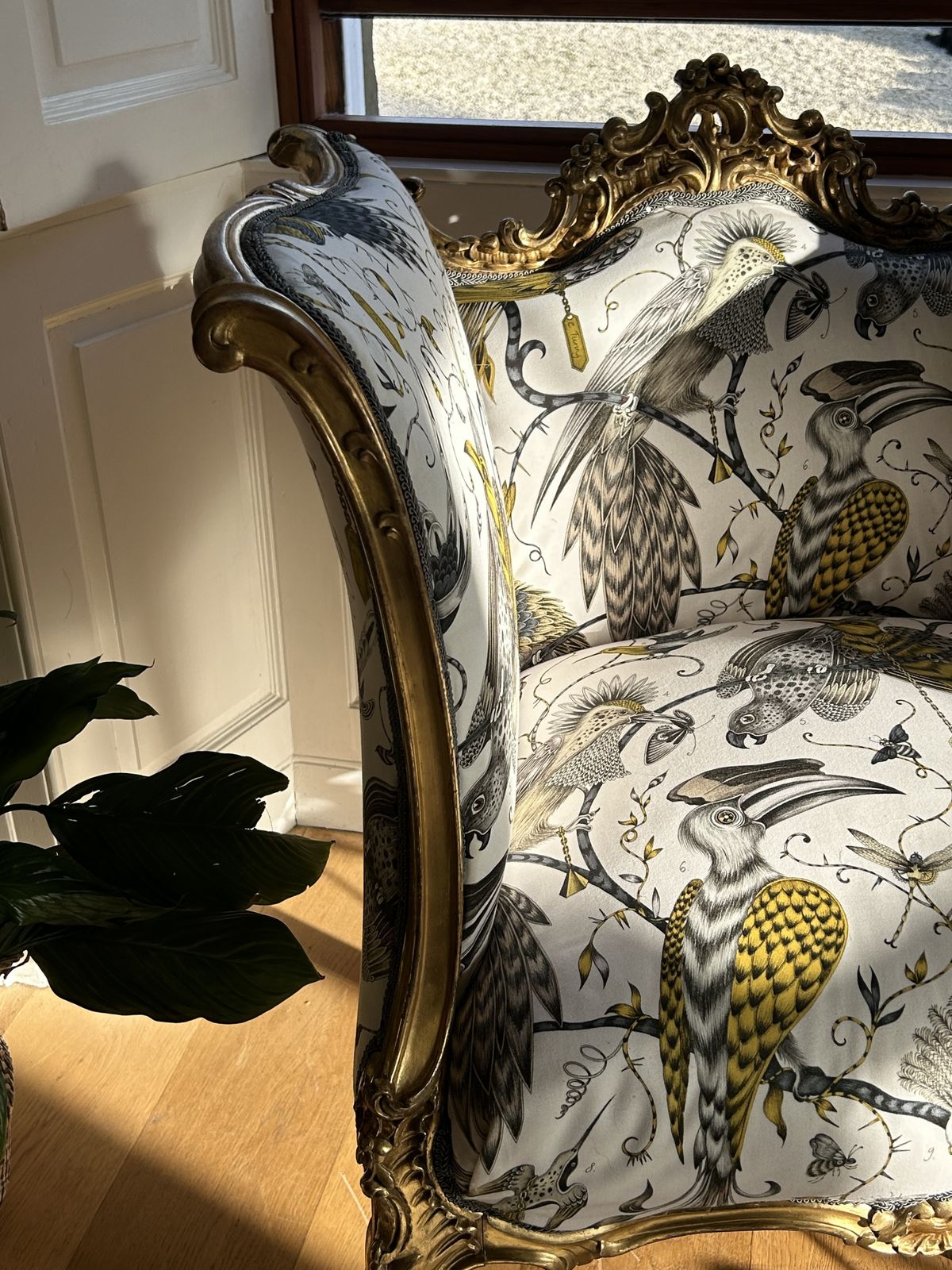19th Century Giltwood French Occasional  Salon Chair photo for sale