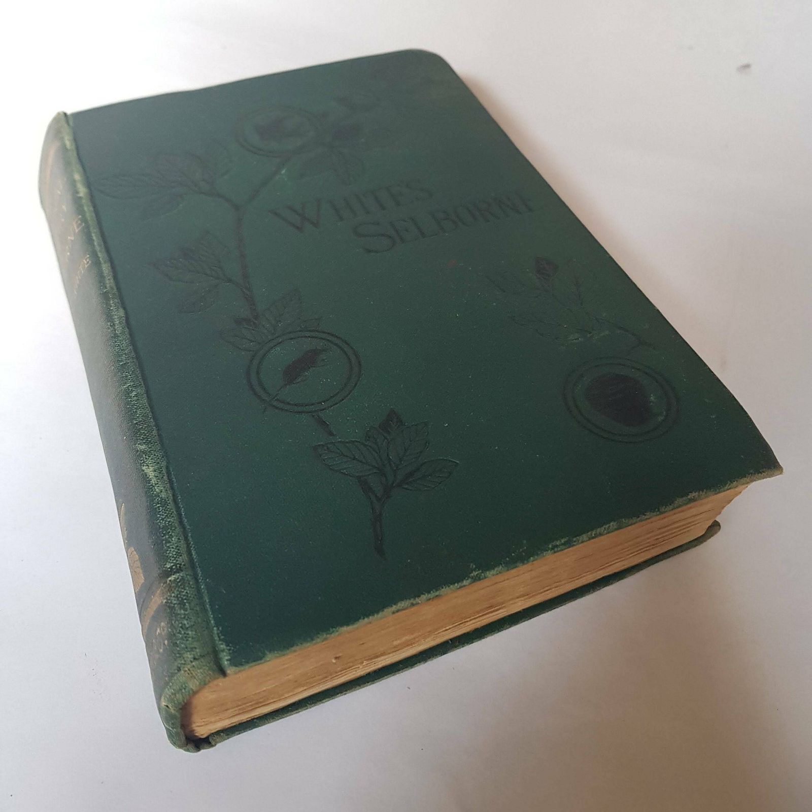 The Natural History Of Selborne By Gilbert White 1887 Edition, Natural History Classic photo furniture