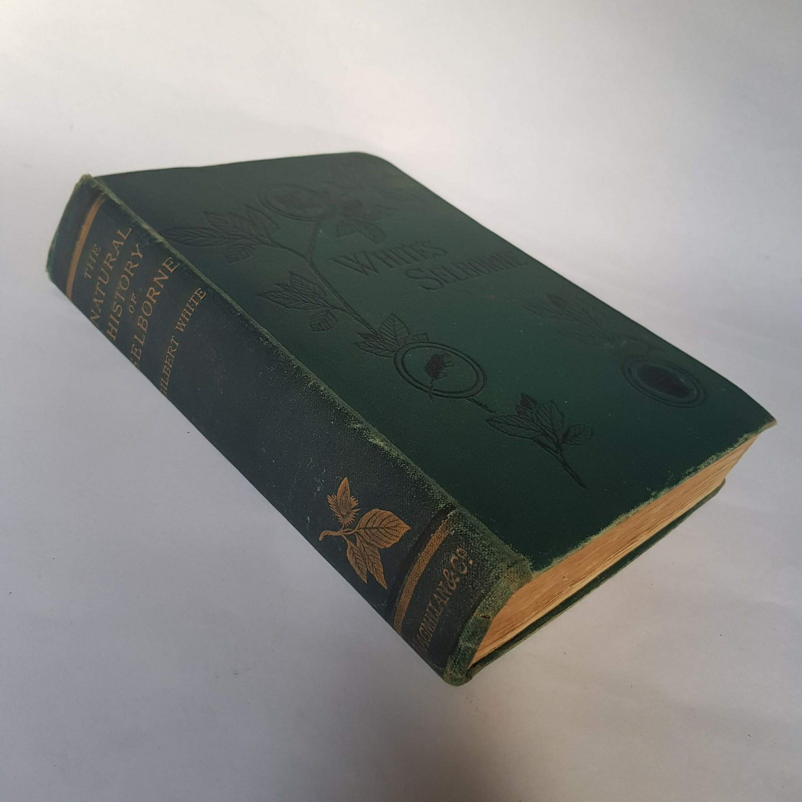 The Natural History Of Selborne By Gilbert White 1887 Edition, Natural History Classic photo for sale