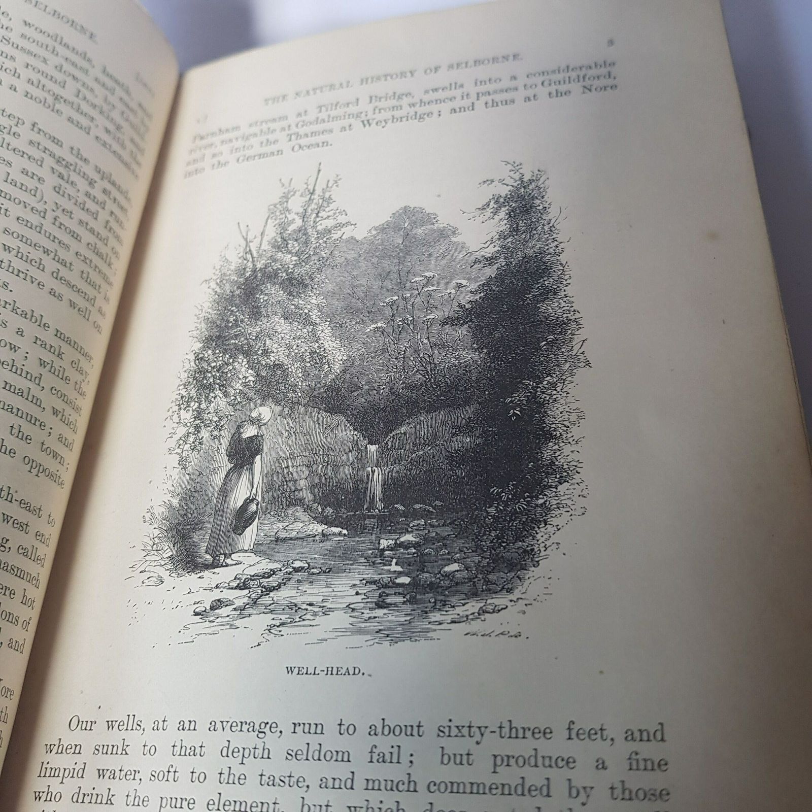 photo for sale The Natural History Of Selborne By Gilbert White 1887 Edition, Natural History Classic