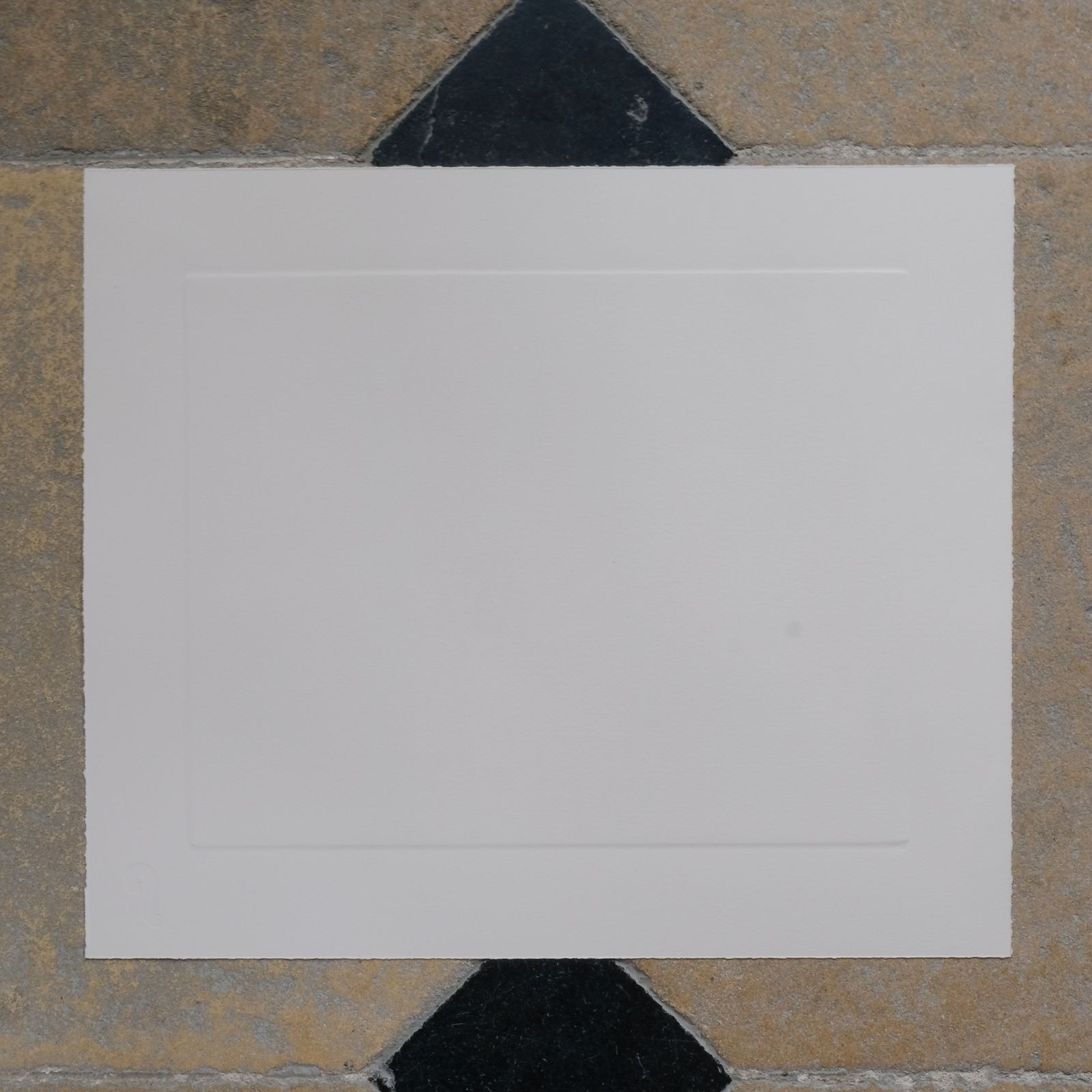 Le Gun   The Tragic Demise Of The White Gullinule, Framed. Signed, Limited Edition. photo Art