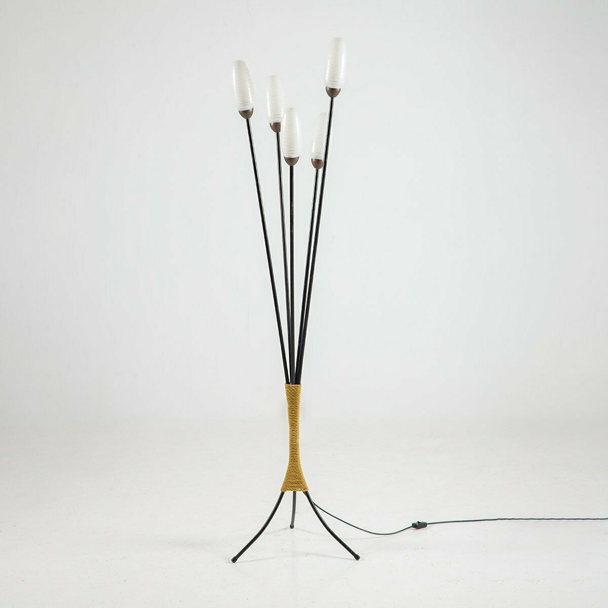 Mid Century French Floor Lamp, 1950s