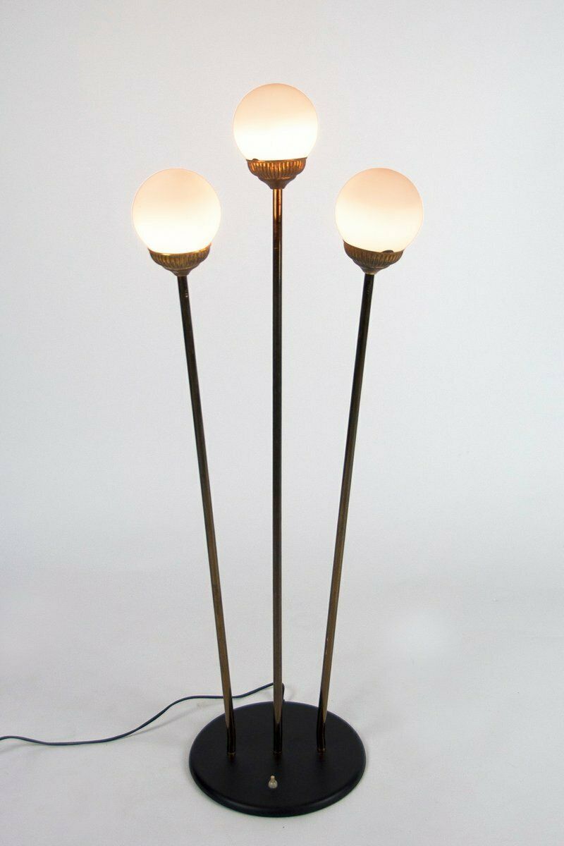 Mid Century Italian Globe Floor Lamp From Stilnovo, 1950s photo 919.0