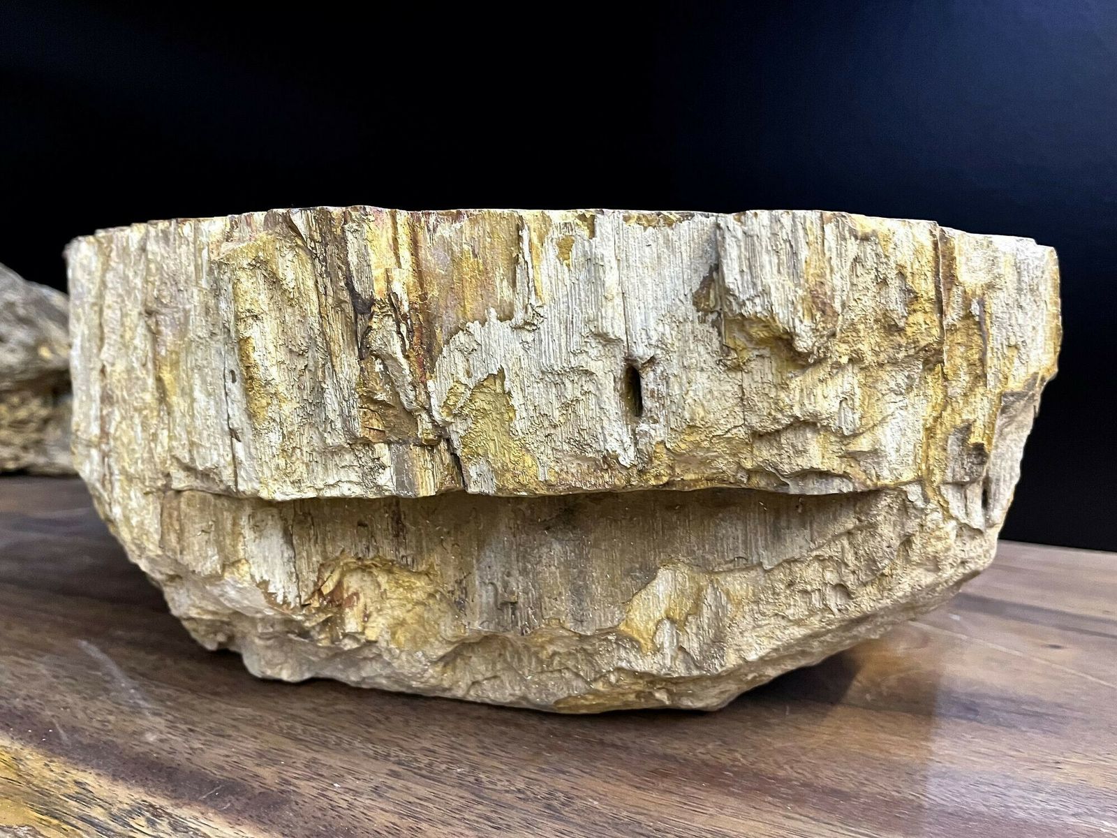 photo for sale Petrified Wood Sink In Beige/ Brown/ Yellow Tones   Polished, Top Quality, Idn