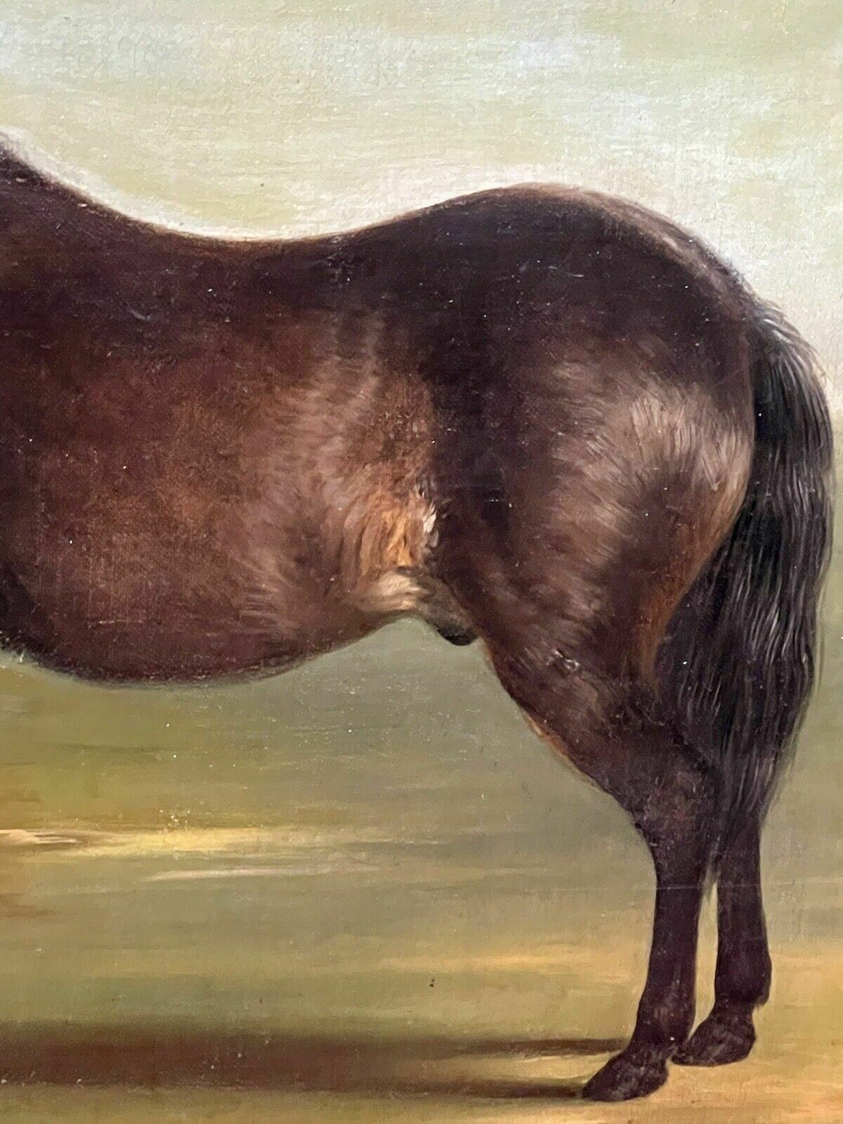 photo for sale 19th Century Oil Painting Of Chestnut Horse By Stable Signed J Carr Pinnit