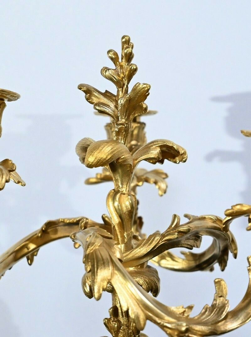 Pair Of Gilt Bronze Candelabra, Louis XV Style – Late 19th Century photo vintage