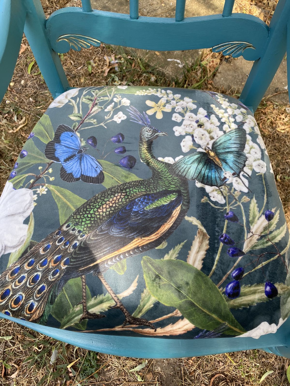Peacock Chair photo 175.0