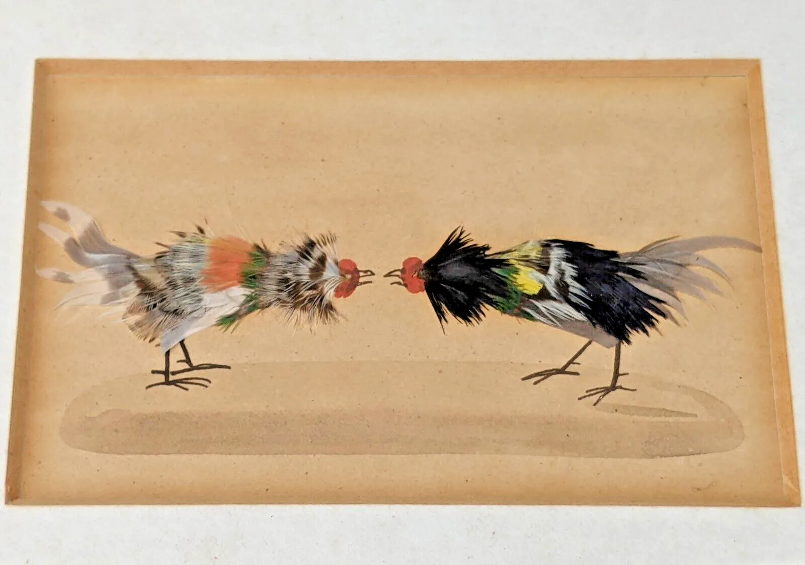 Feather Work Study Cockfighting Pictures photo vinterior