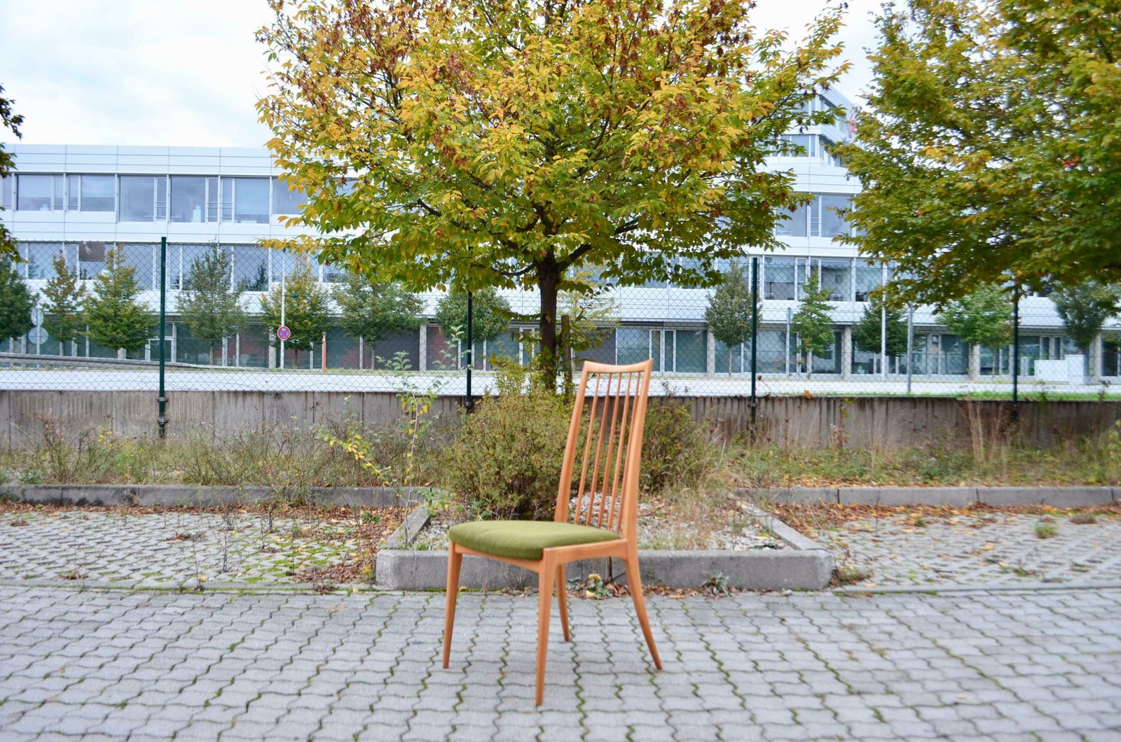 Ernst Martin Dettinger German Mid Century Dining Chair Lucas Schnaidt Set Of 4 photo vinterior