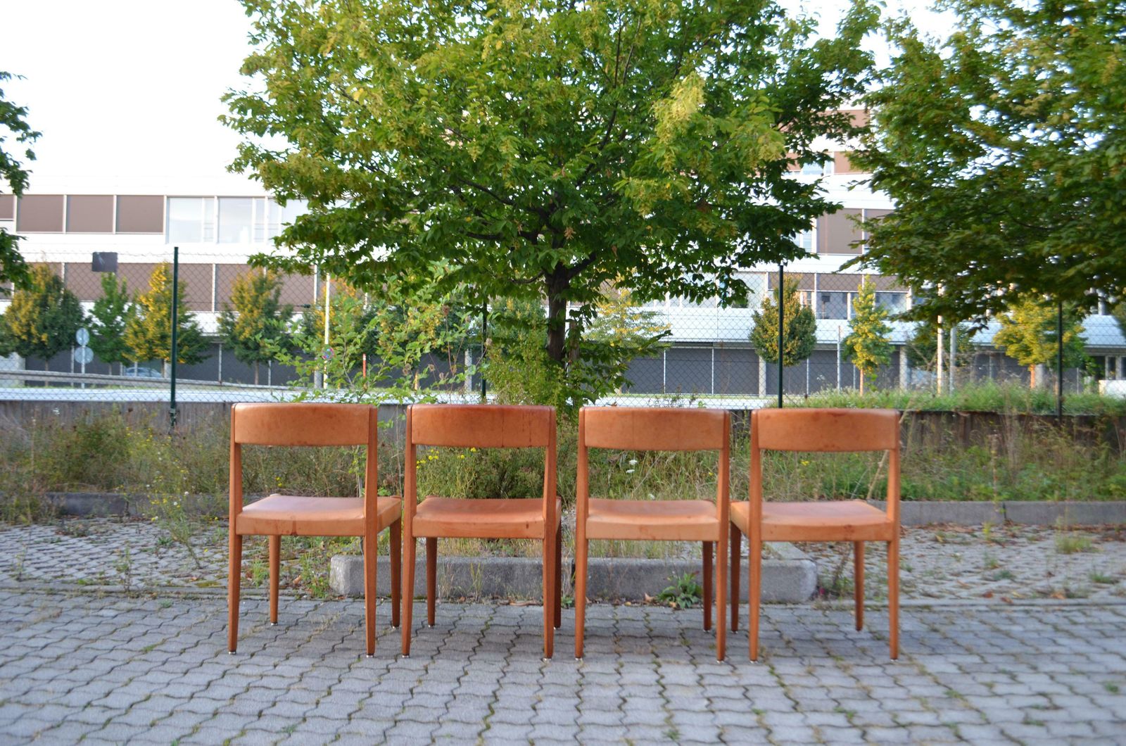 Aage Schmidt Christensen Fritz Hansen Danish Teak Cognac Dining Chair Set Of 4 photo Furniture