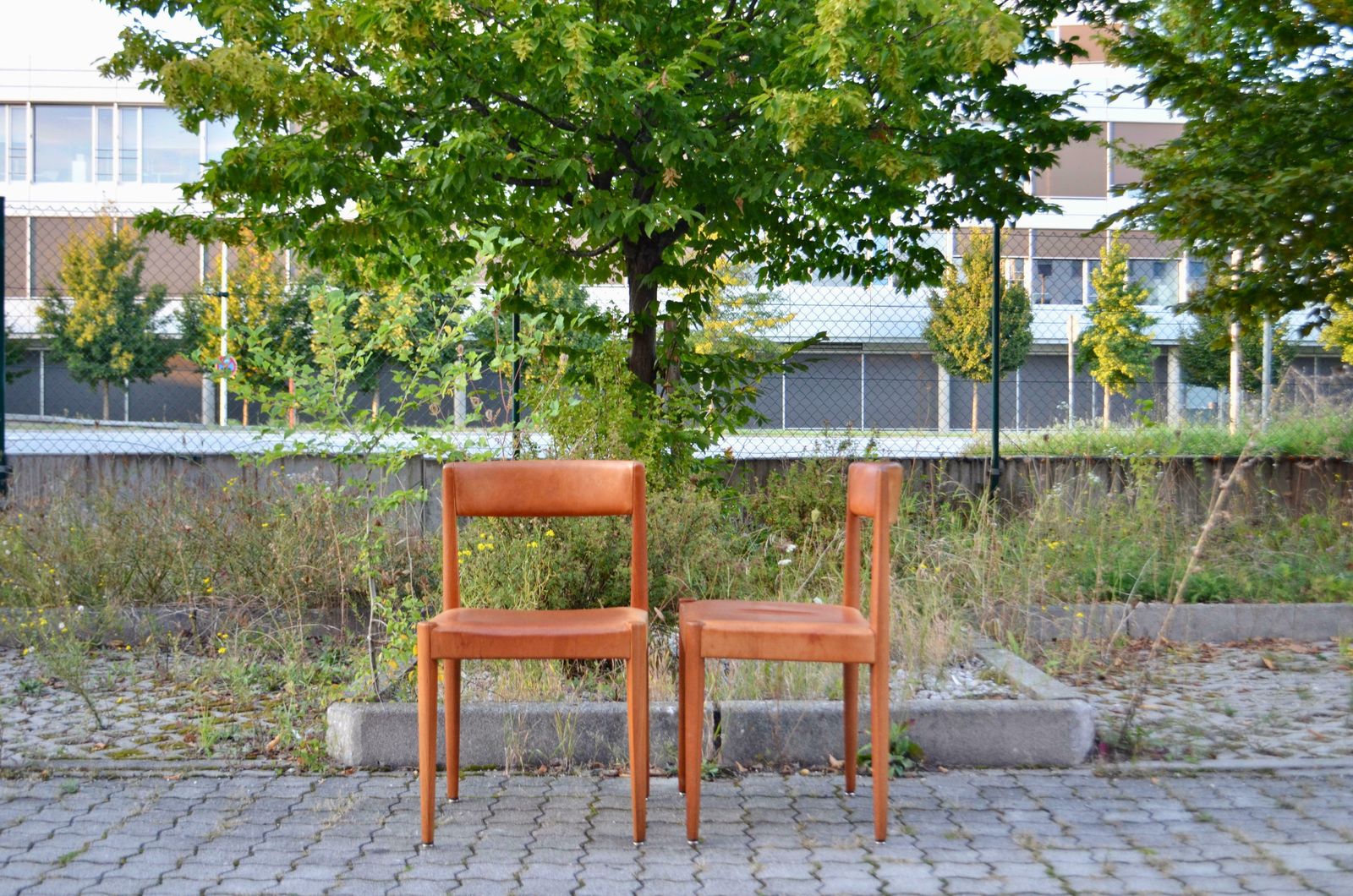 Aage Schmidt Christensen Fritz Hansen Danish Teak Cognac Dining Chair Set Of 4 photo vinterior