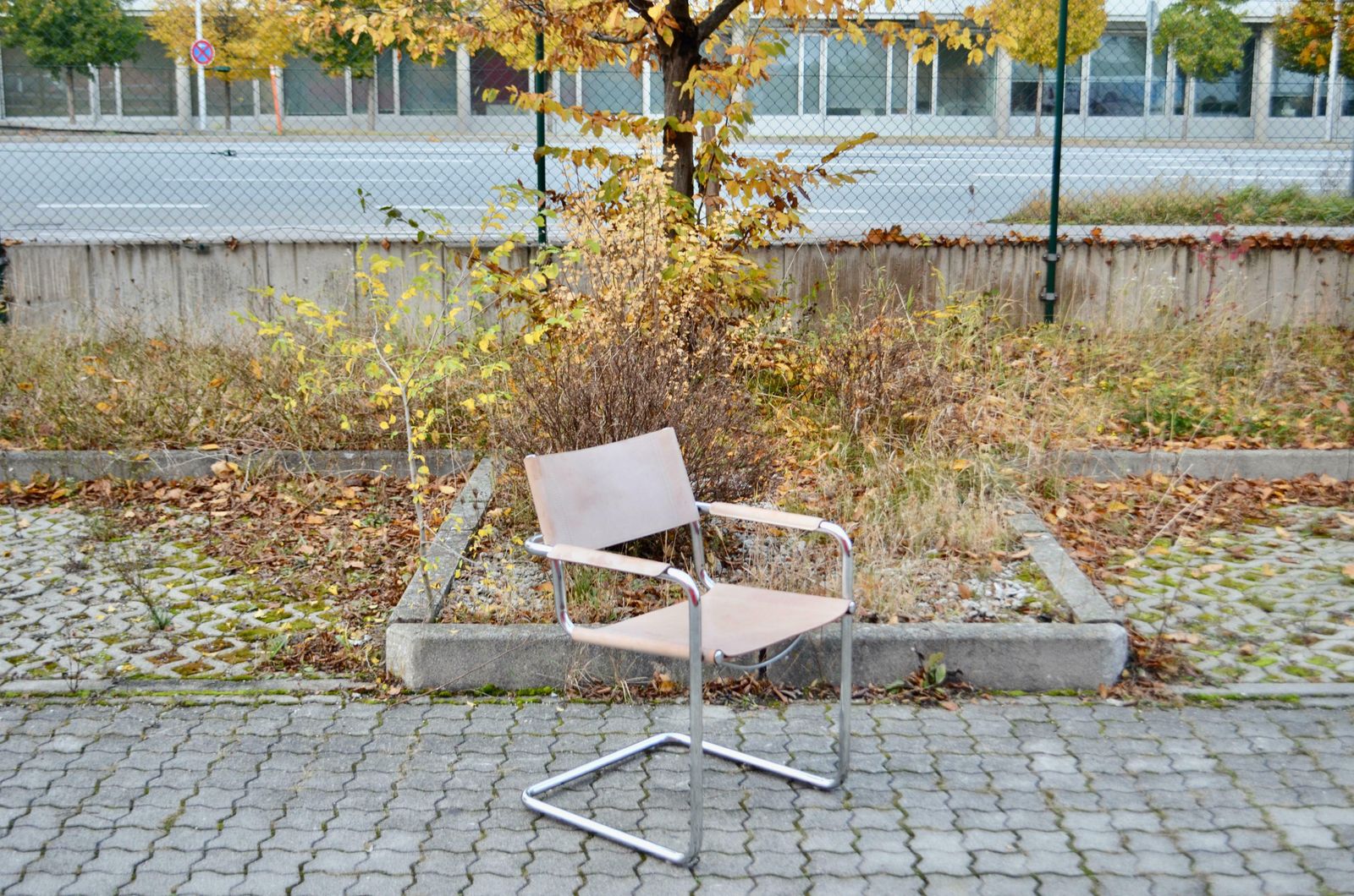 Matteo Grassi Cantilever Mg Skin Coloured Leather Chair By Centro Studi photo buy