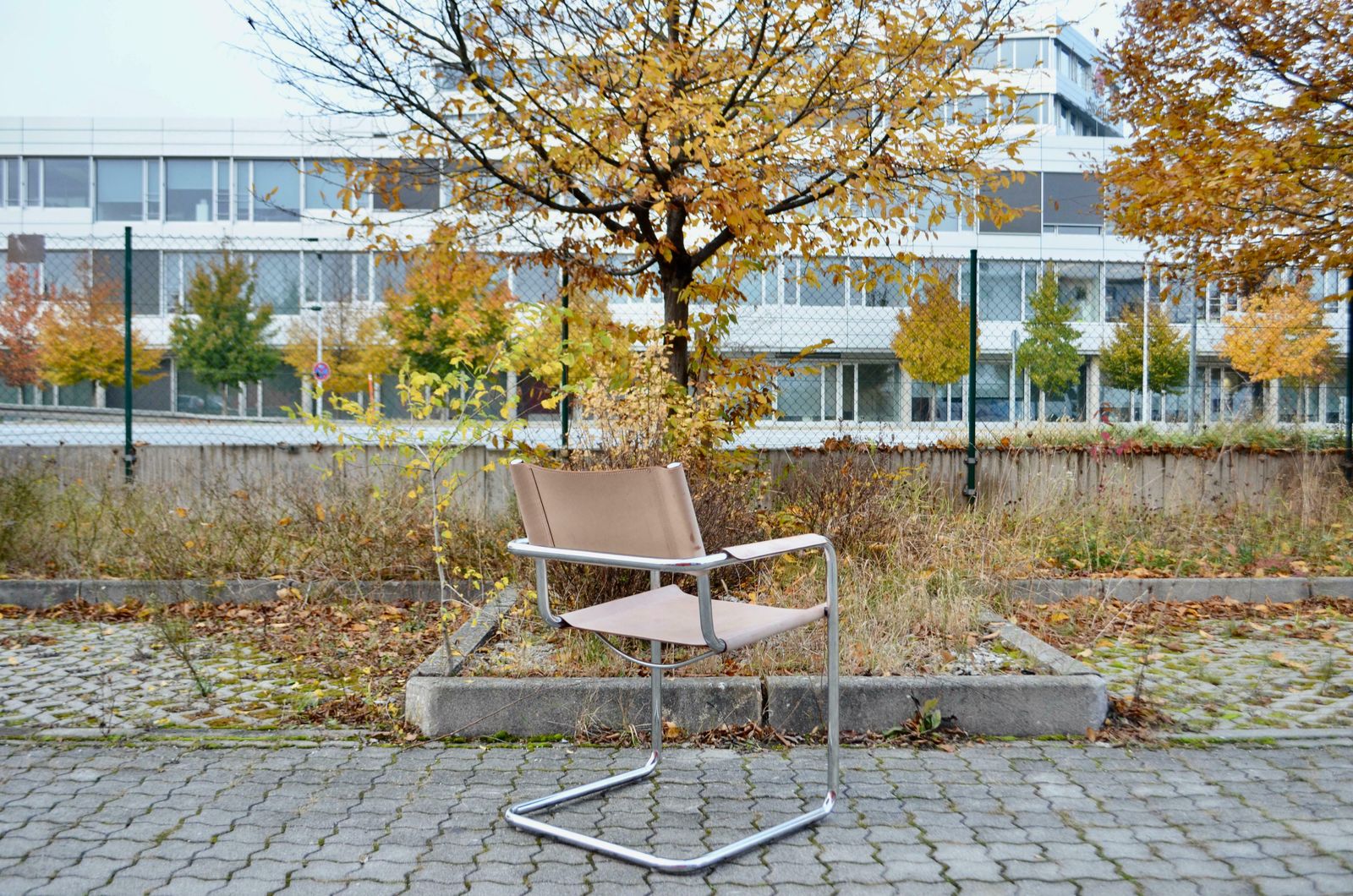 photo for sale Matteo Grassi Cantilever Mg Skin Coloured Leather Chair By Centro Studi