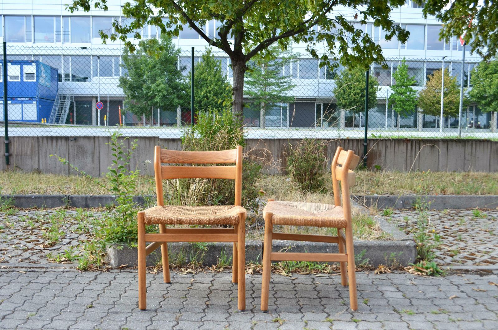 photo for sale Børge Mogensen Model Bm1 Dining Oak Chairs For C.M. Madsens Set Of 6