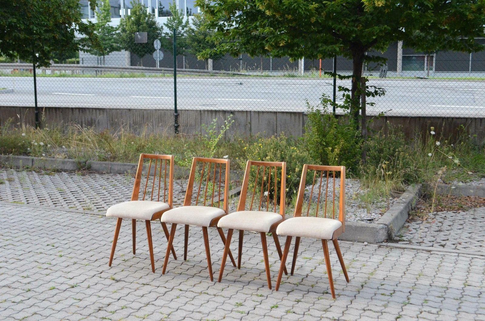 German 50ties Mid Century Dining Chair Set Of 4 photo for sale