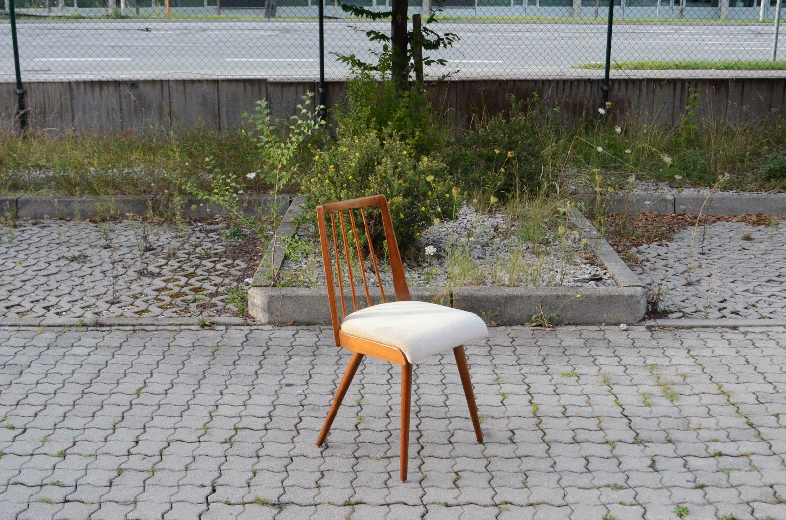 German 50ties Mid Century Dining Chair Set Of 4 photo vintage