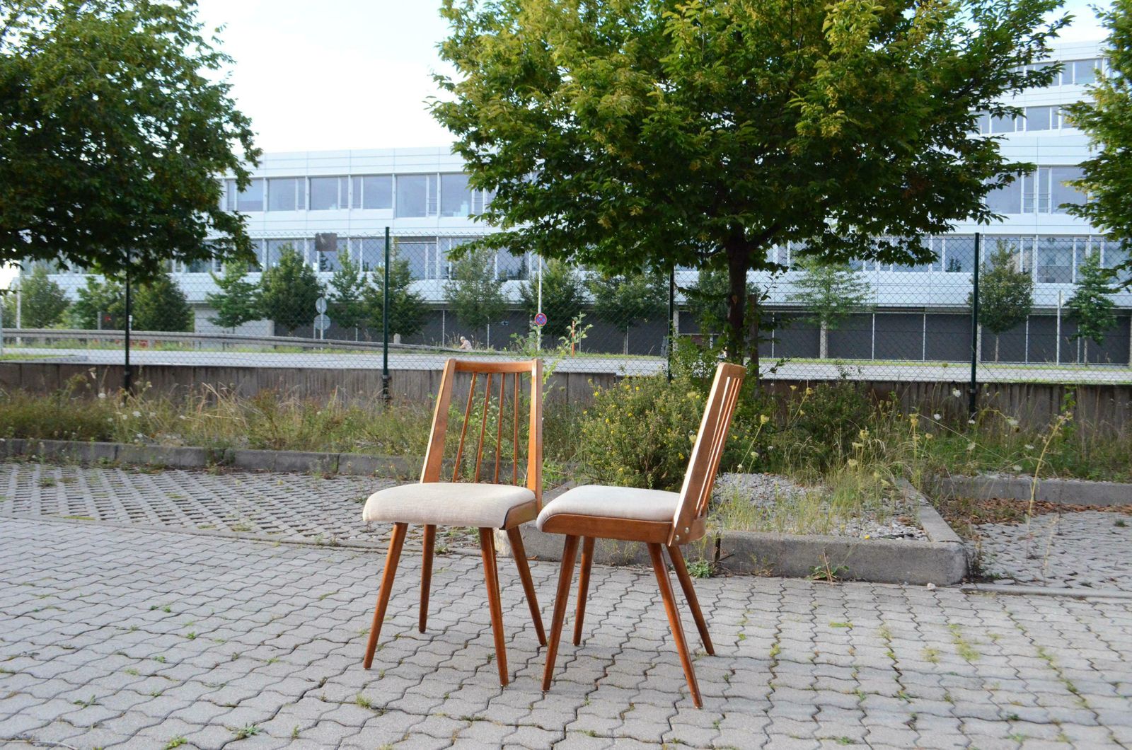 photo vinterior German 50ties Mid Century Dining Chair Set Of 4