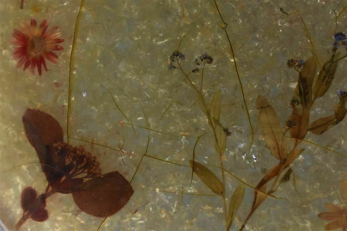 70s Resin Coffee Table Including Butterflies From Accolay photo vintage