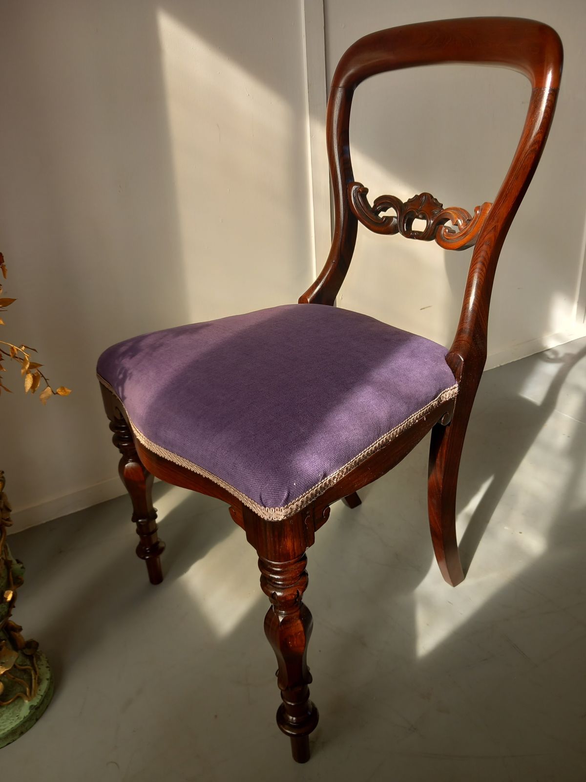 Dining Chair, 1800s, Rosewood, Antique photo furniture