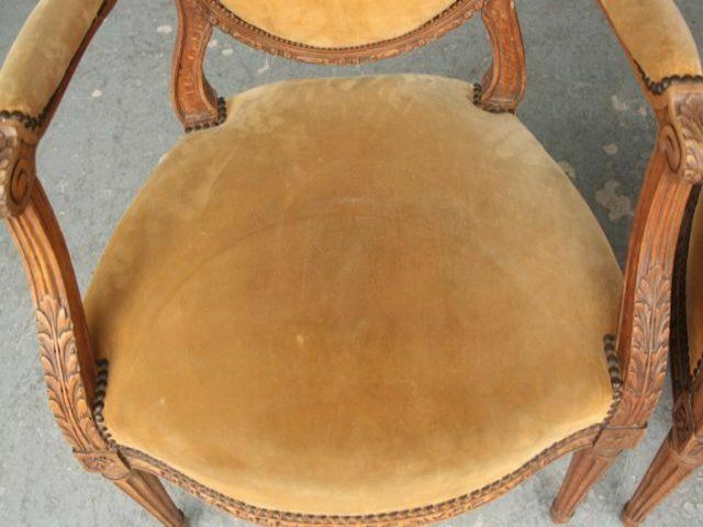 photo vinterior Louis XVI Velvet Beech Armchairs (Pair)