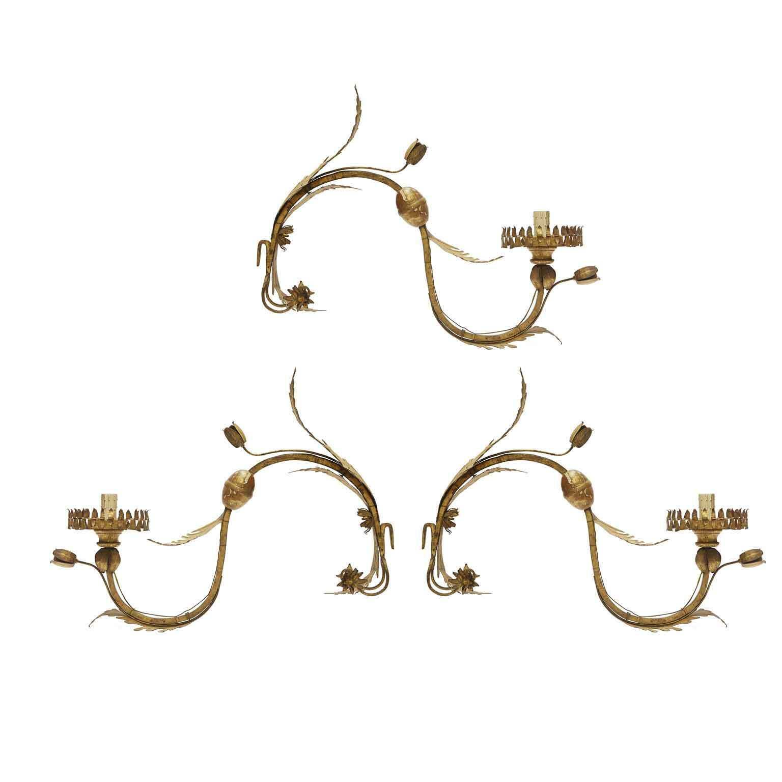 Three Golden Appliques 1700 Wrought Iron Candle Holder Arms With Foliage And Floral Motifs