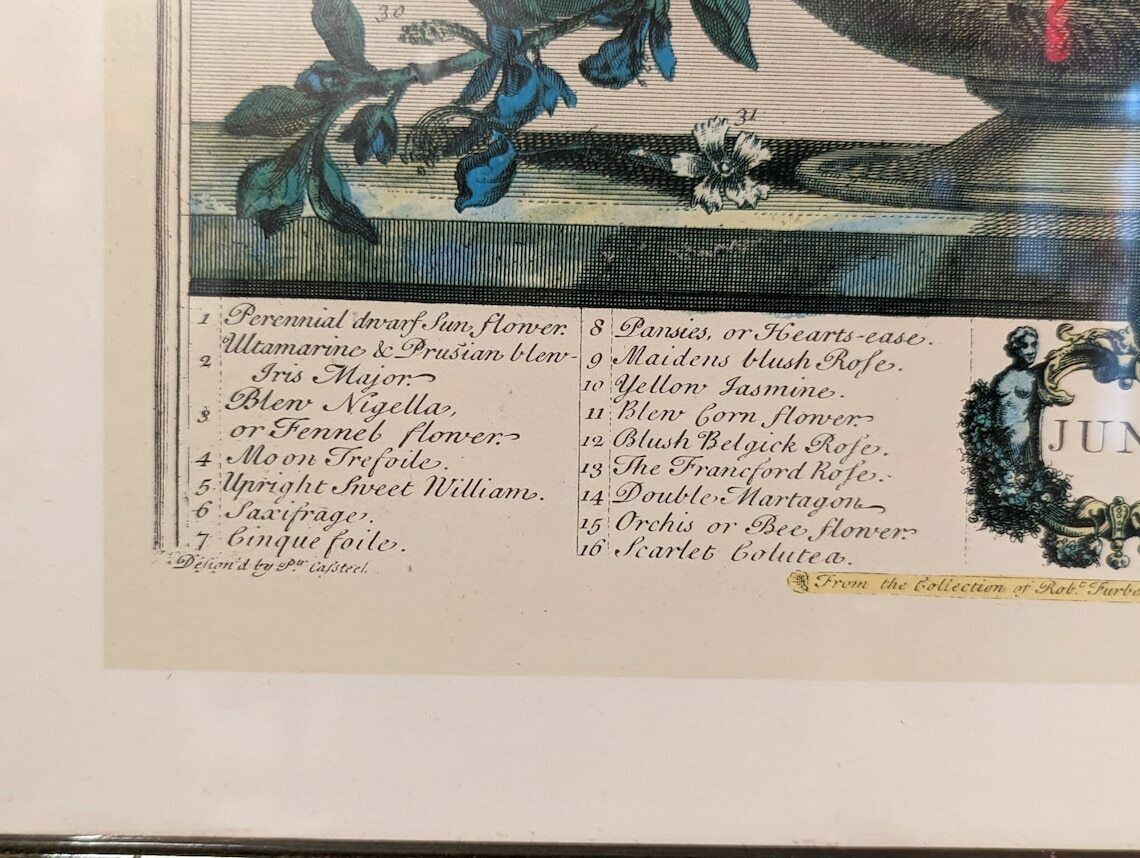 34 Flowers Of June Engraving By H. Fletcher photo for sale