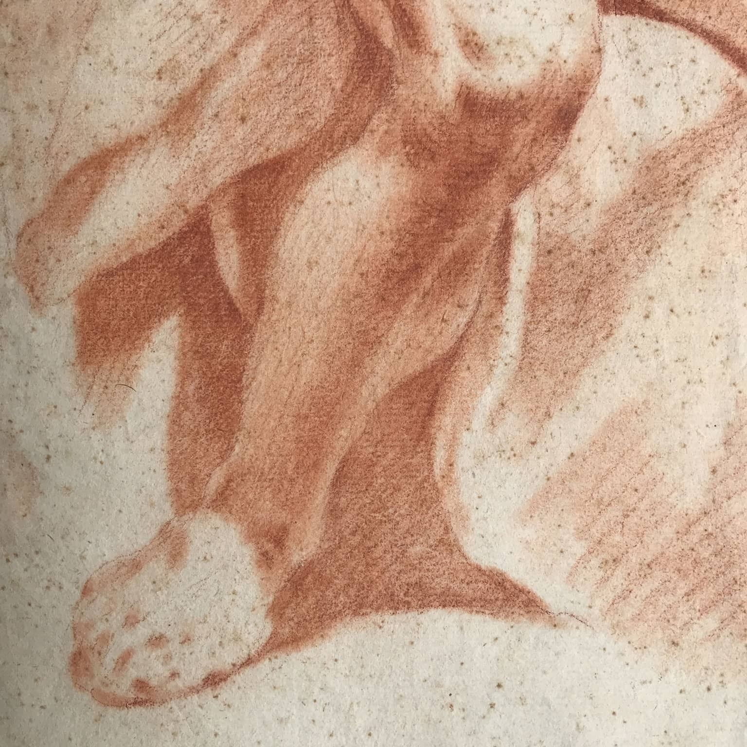 Pair Of Sanguine Drawings With Nude Studies photo buy