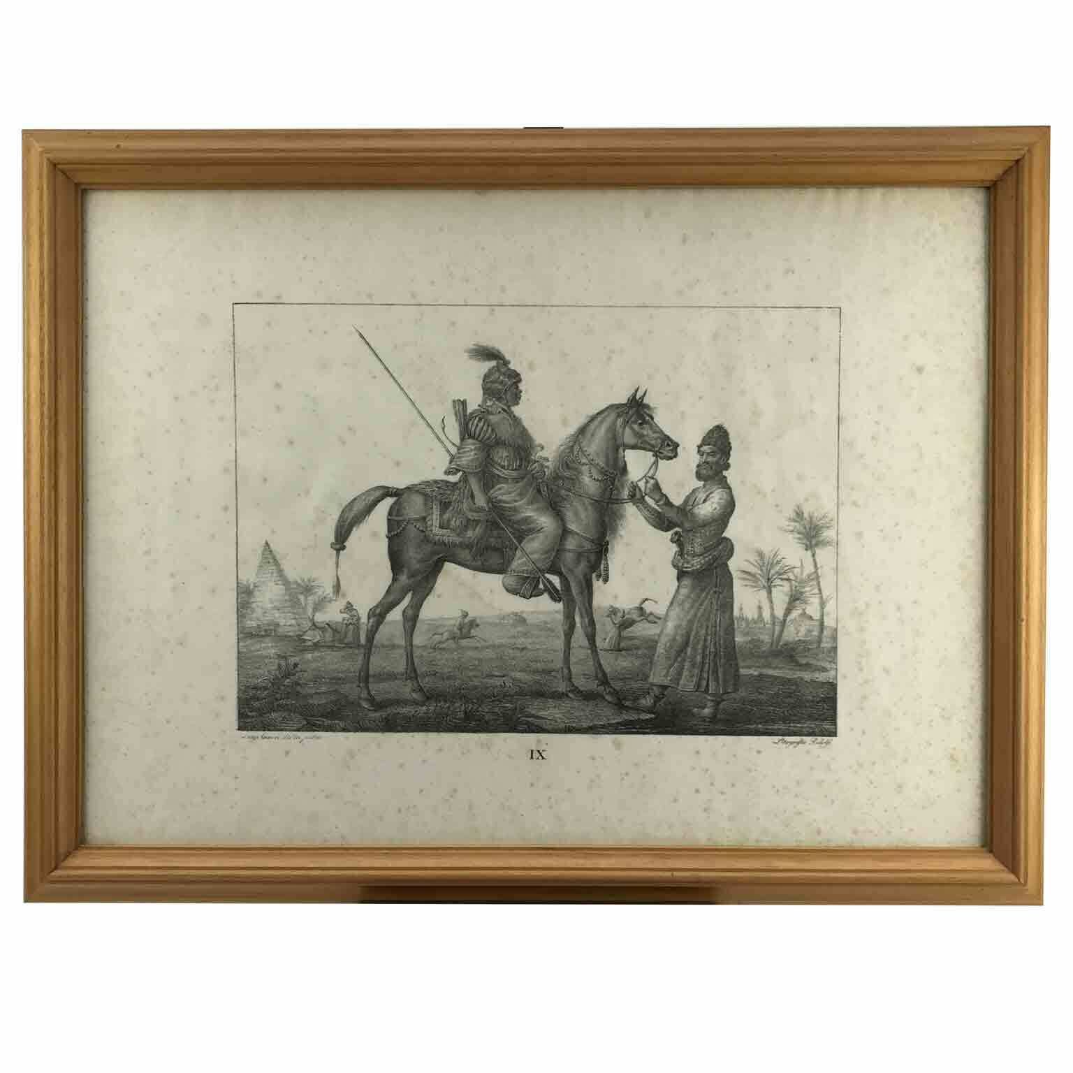 Luigi Giarré Horse Breeds Known In Europe Florence 1822 photo Art