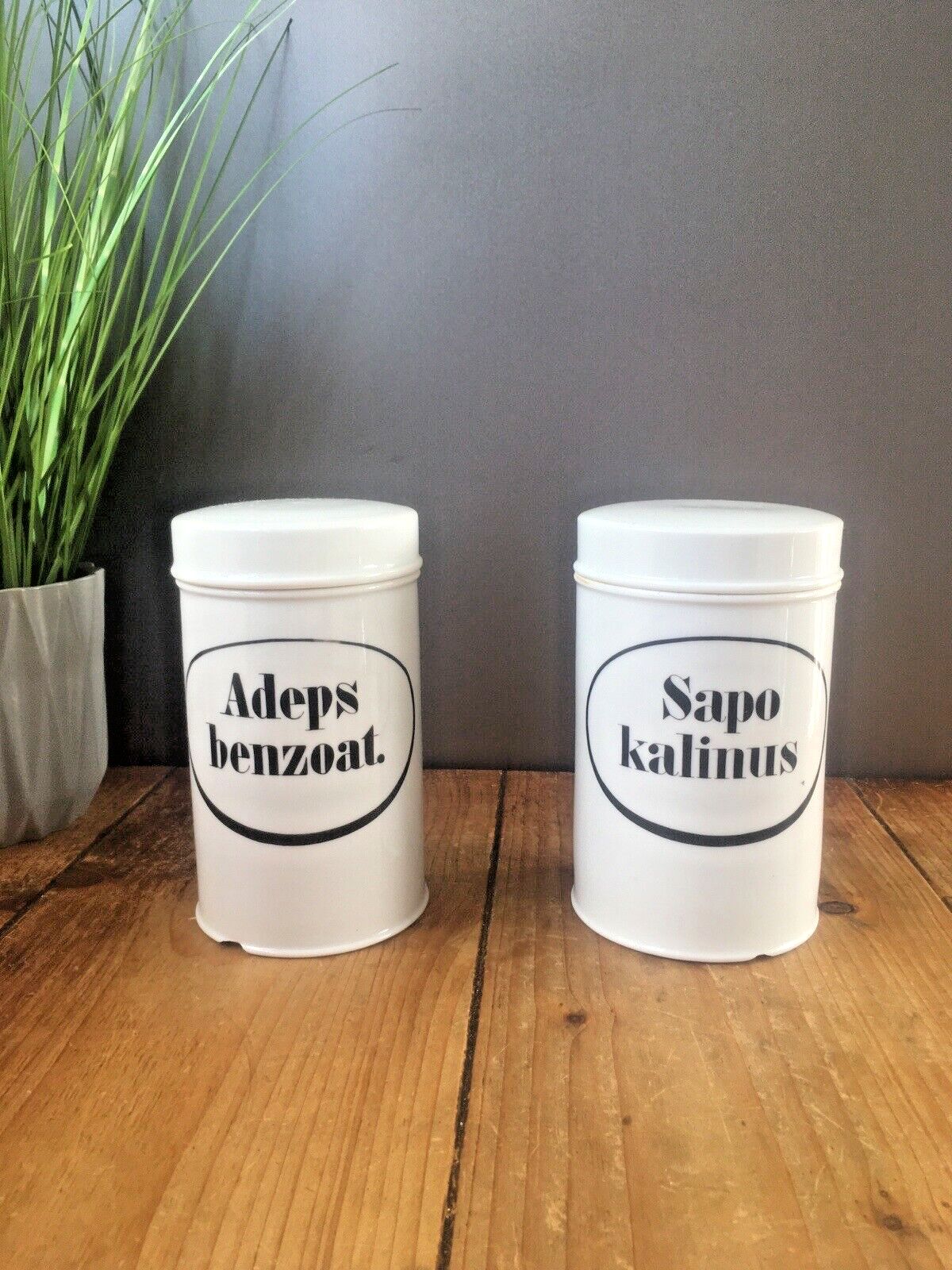 Home Decor Rare Antique German Porcelain Adeps Benzoat Apothecary Pharmacy Chemist Jar Pot photo