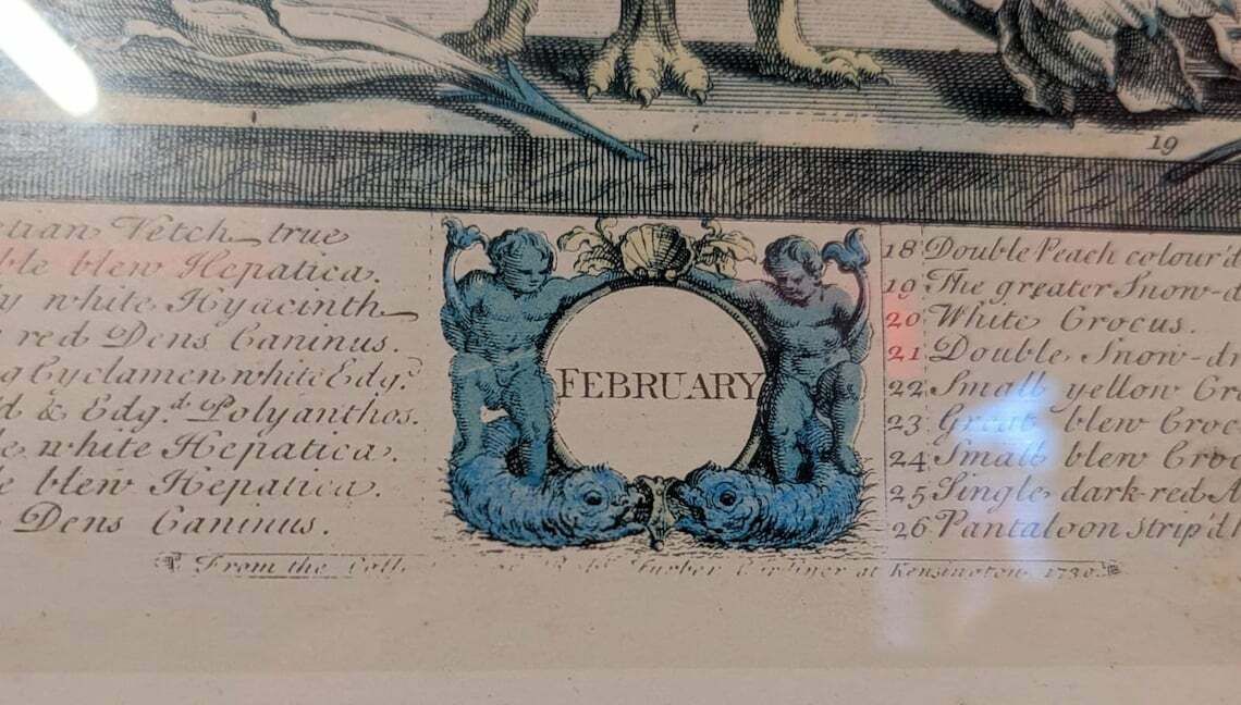 35 Flowers Of February Engraving By H. Fletcher photo furniture