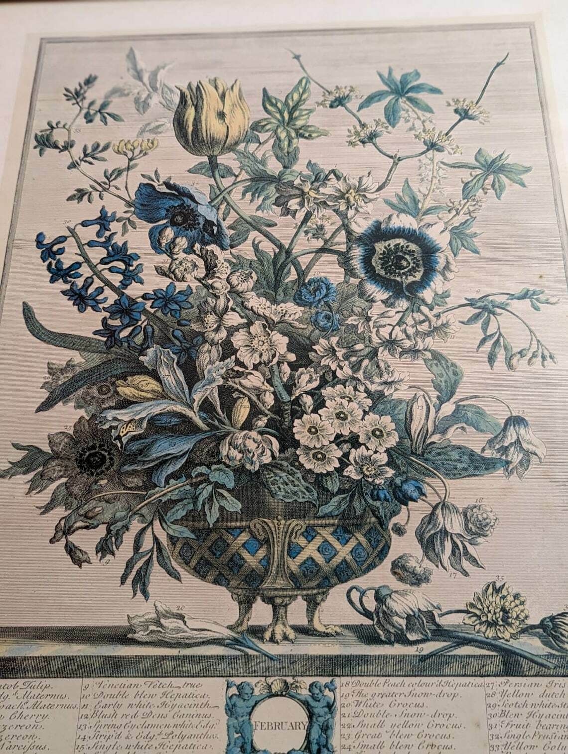 35 Flowers Of February Engraving By H. Fletcher photo vinterior