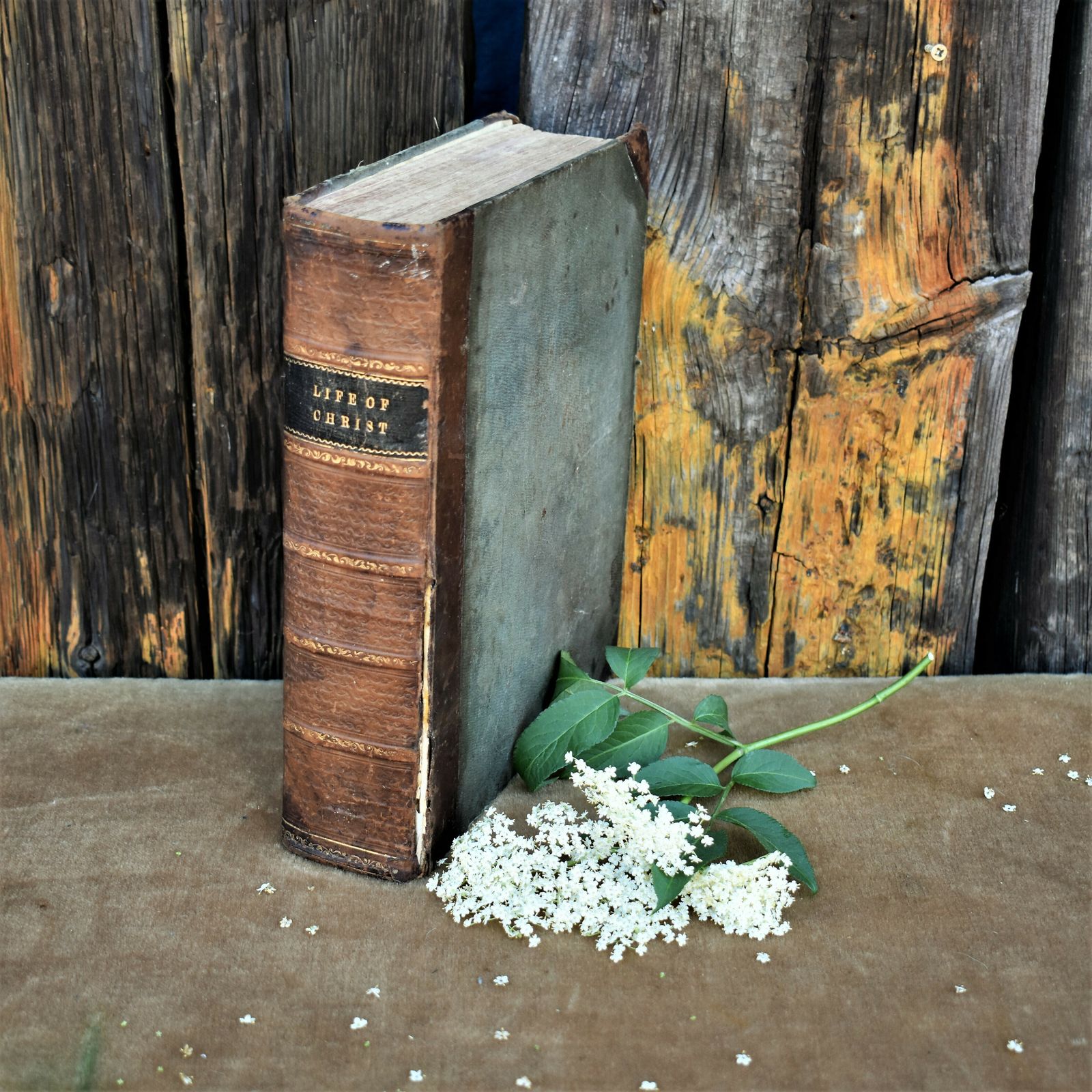 Antique 1850s Life Of Christ Rev John Fleetwood Leather Book Lovely Inscription
