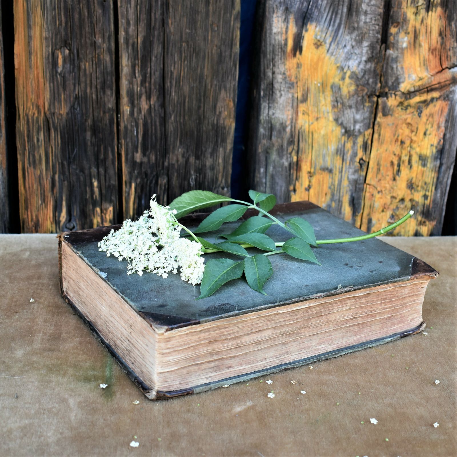 Antique 1850s Life Of Christ Rev John Fleetwood Leather Book Lovely Inscription photo for sale