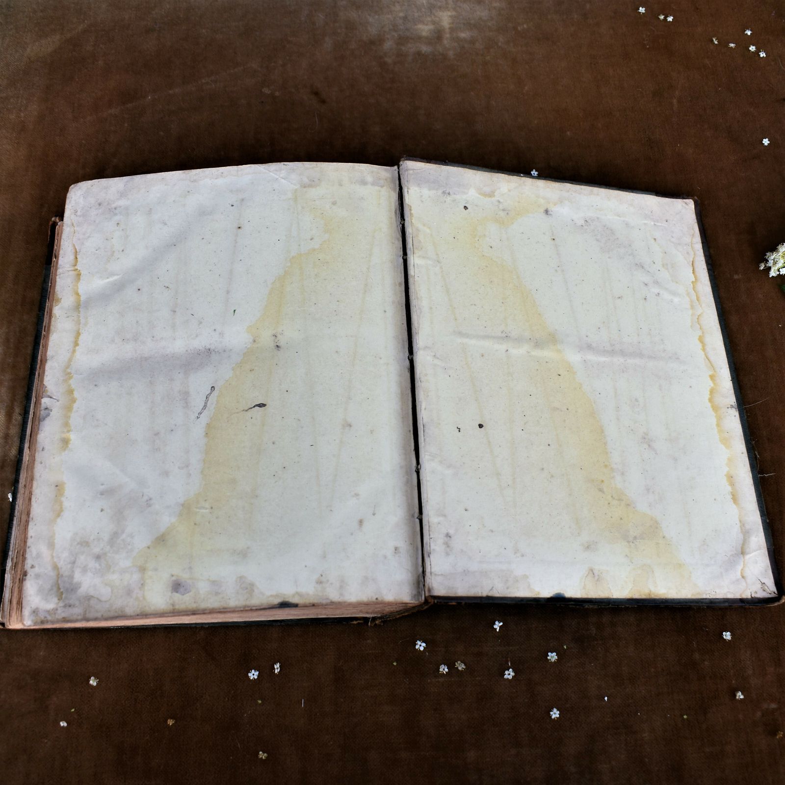 photo buy Antique 1850s Life Of Christ Rev John Fleetwood Leather Book Lovely Inscription
