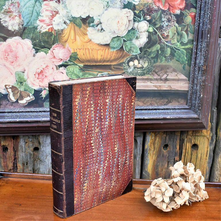 Antique 1881 The Welcome Monthly Magazine Chronical Half Leather Bound Book