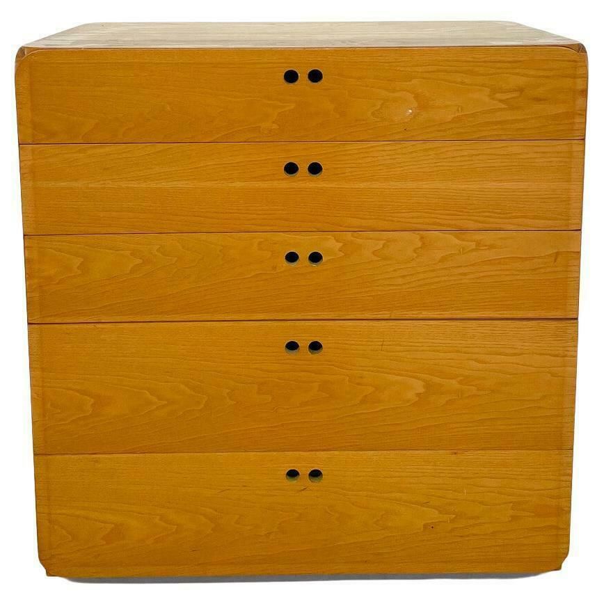 Mid Century Modern Chest Of Drawers By Derk Jan De Vries, 1960s