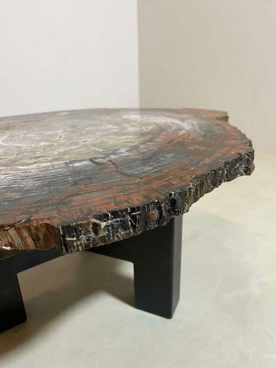 Mid Century Petrifiedwood Coffee Table, Belgium, 1970s photo for sale