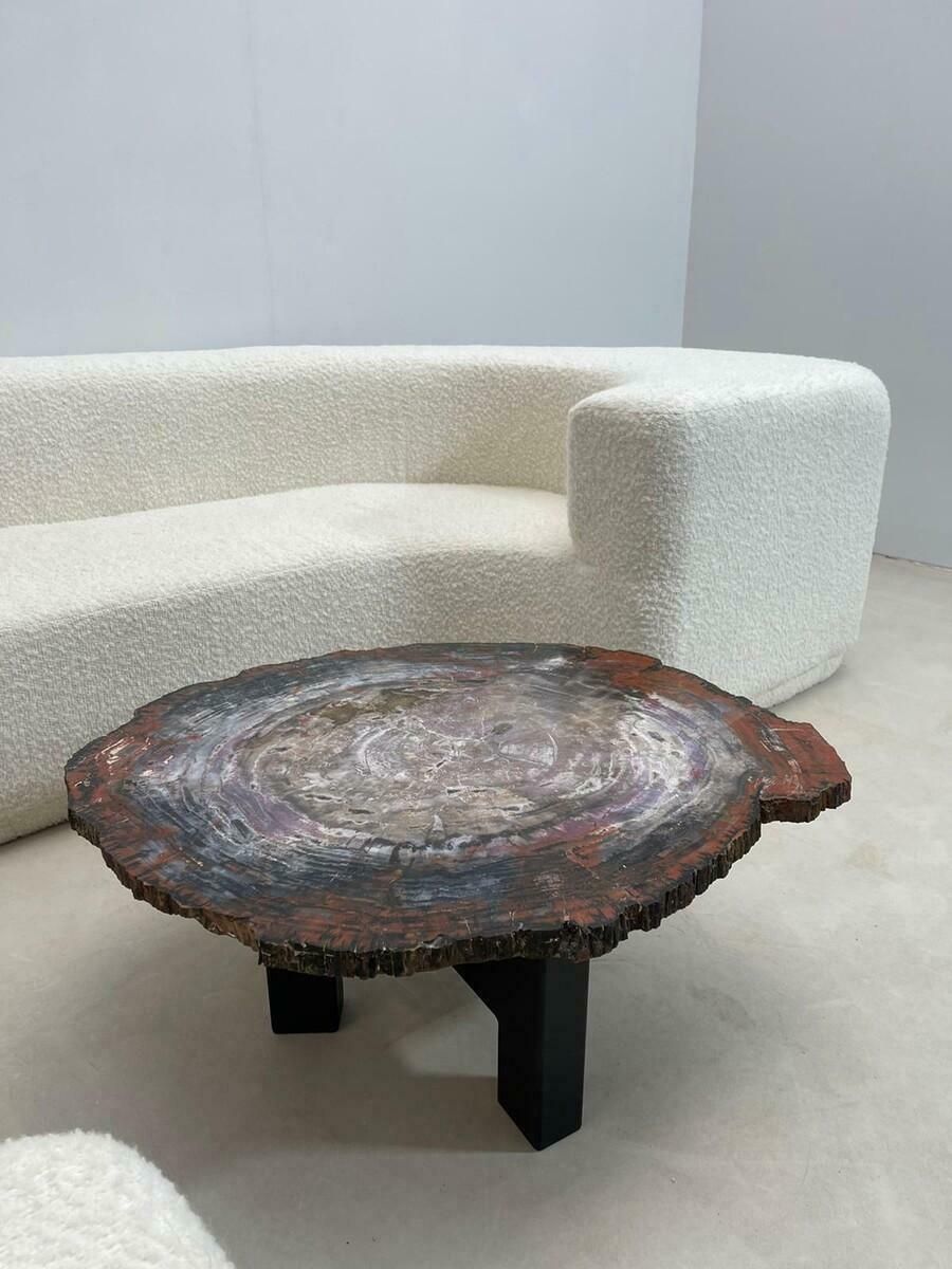 Mid Century Petrifiedwood Coffee Table, Belgium, 1970s photo 3815.0